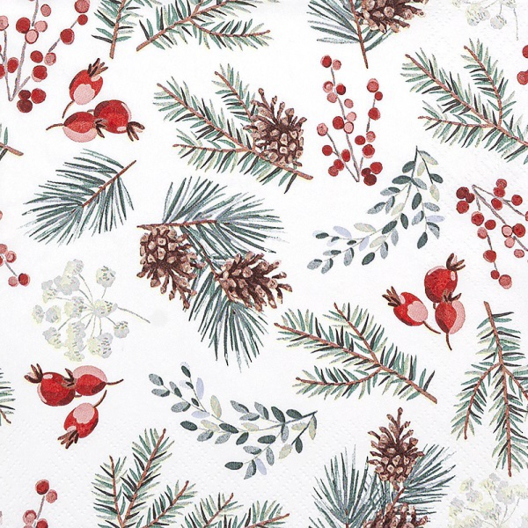 Paper Napkins 33cm, Winter Botanicals *ETA Nov image 0